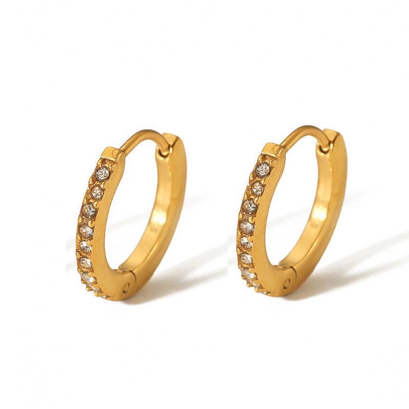 Elegant Stoned Earrings