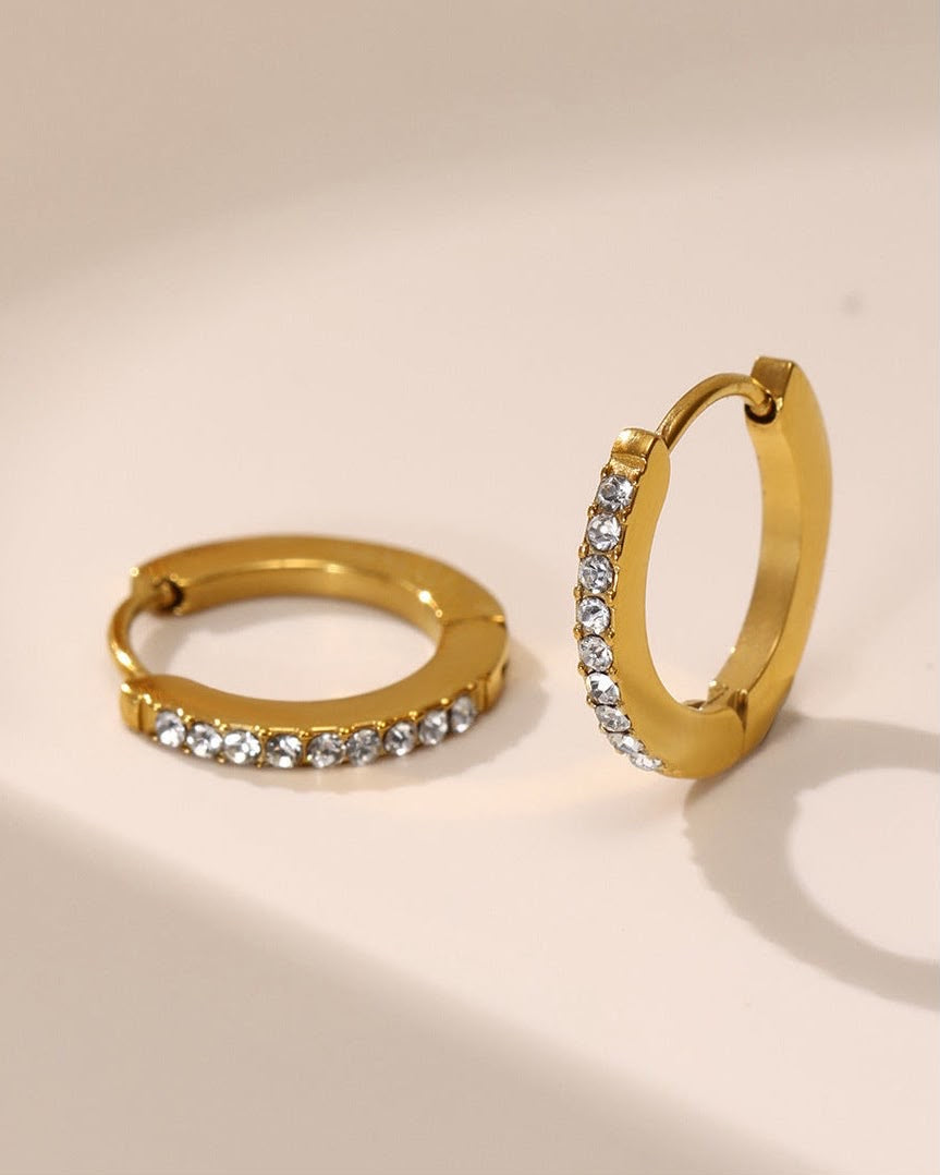 Elegant Stoned Earrings