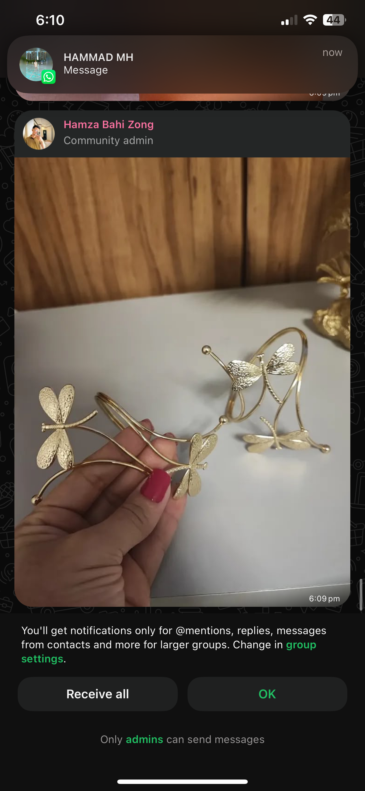 Dragon Fly ArmCuff