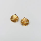 Shell earring