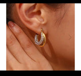 Luxury earring